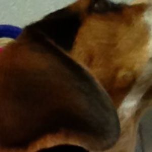 Meet your Posher, Sharon